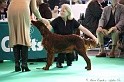 Crufts2011 097